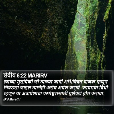 लेवीय 6:22 MARIRV Bible Verse Image