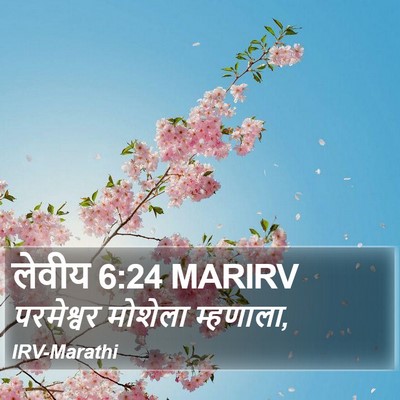 लेवीय 6:24 MARIRV Bible Verse Image
