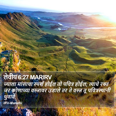 लेवीय 6:27 MARIRV Bible Verse Image