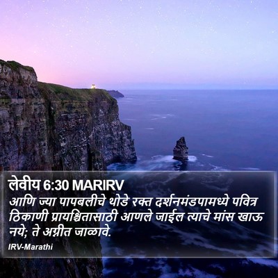लेवीय 6:30 MARIRV Bible Verse Image