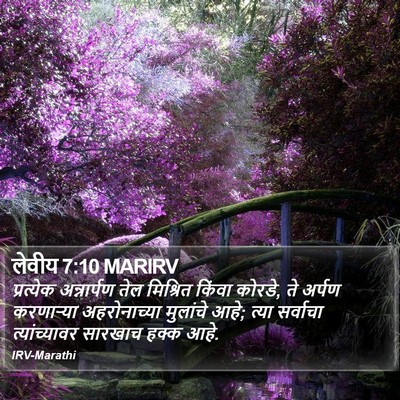 लेवीय 7:10 MARIRV Bible Verse Image