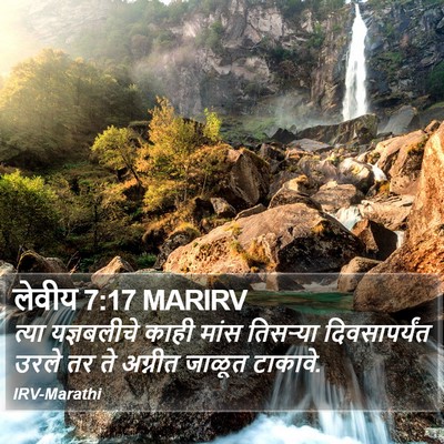 लेवीय 7:17 MARIRV Bible Verse Image