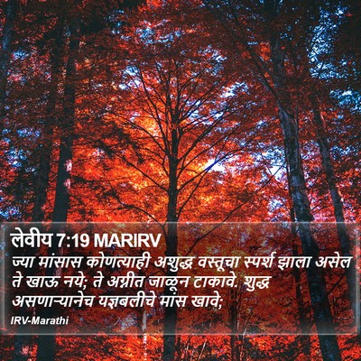 लेवीय 7:19 MARIRV Bible Verse Image