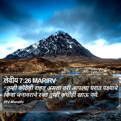 लेवीय 7:26 MARIRV Bible Verse Image