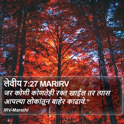 लेवीय 7:27 MARIRV Bible Verse Image