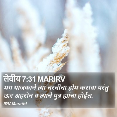लेवीय 7:31 MARIRV Bible Verse Image