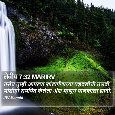लेवीय 7:32 MARIRV Bible Verse Image