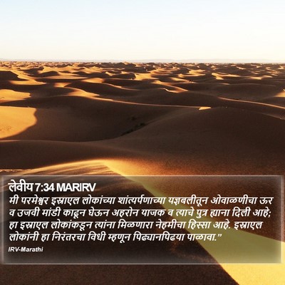 लेवीय 7:34 MARIRV Bible Verse Image