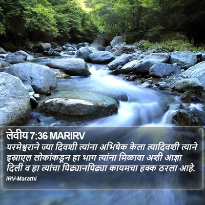 लेवीय 7:36 MARIRV Bible Verse Image