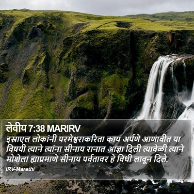 लेवीय 7:38 MARIRV Bible Verse Image