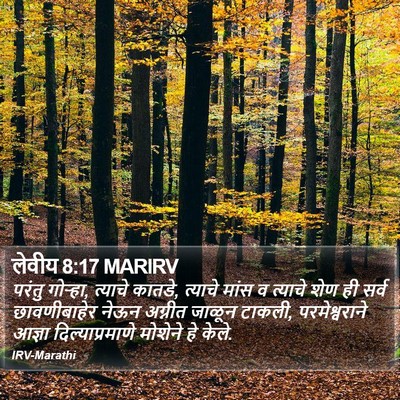 लेवीय 8:17 MARIRV Bible Verse Image