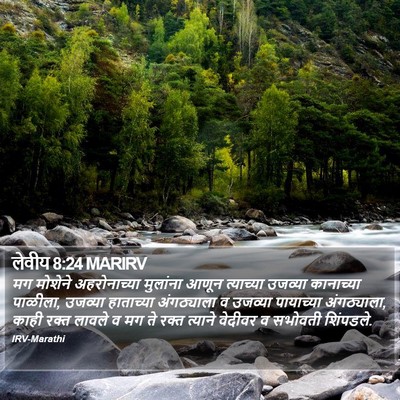 लेवीय 8:24 MARIRV Bible Verse Image