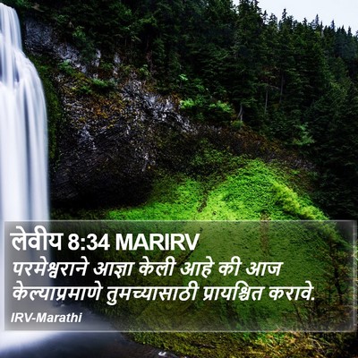 लेवीय 8:34 MARIRV Bible Verse Image