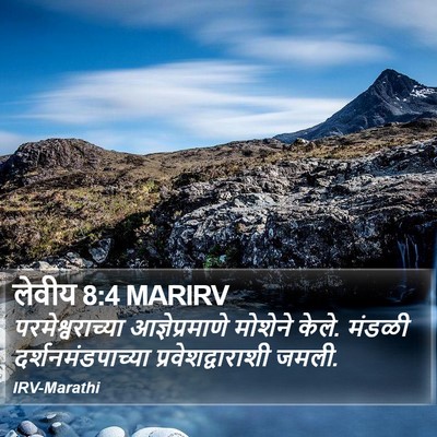 लेवीय 8:4 MARIRV Bible Verse Image