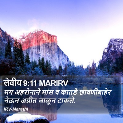 लेवीय 9:11 MARIRV Bible Verse Image
