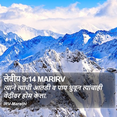 लेवीय 9:14 MARIRV Bible Verse Image