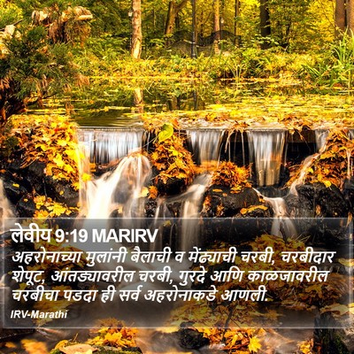 लेवीय 9:19 MARIRV Bible Verse Image
