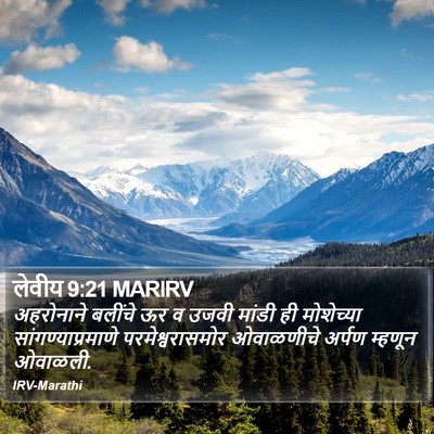 लेवीय 9:21 MARIRV Bible Verse Image
