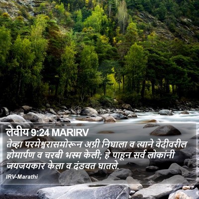 लेवीय 9:24 MARIRV Bible Verse Image