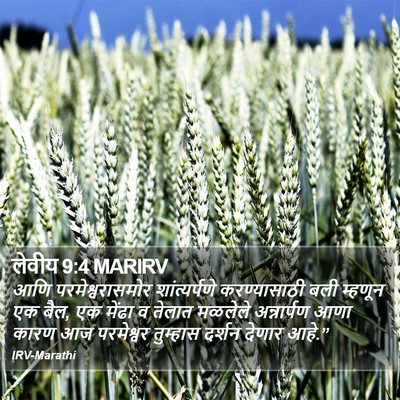 लेवीय 9:4 MARIRV Bible Verse Image