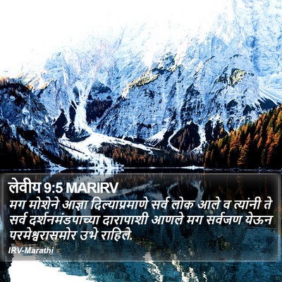लेवीय 9:5 MARIRV Bible Verse Image