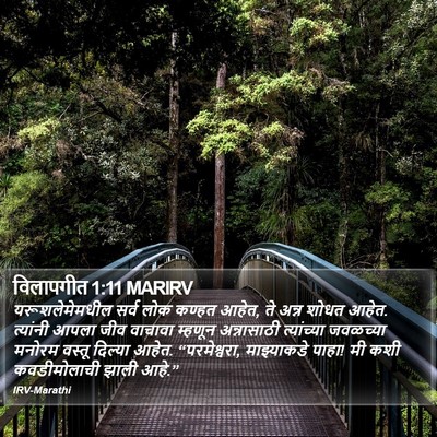 विलापगीत 1:11 MARIRV Bible Verse Image