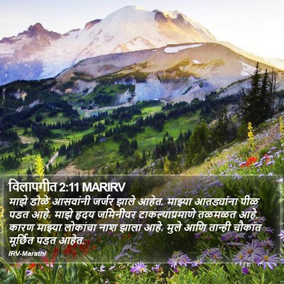 विलापगीत 2:11 MARIRV Bible Verse Image