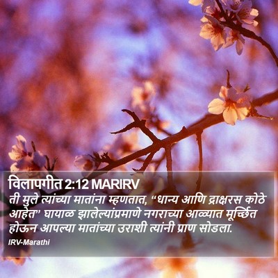 विलापगीत 2:12 MARIRV Bible Verse Image