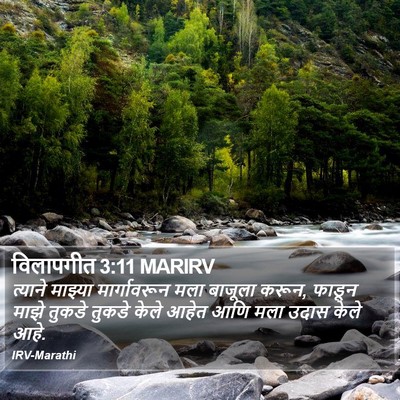 विलापगीत 3:11 MARIRV Bible Verse Image