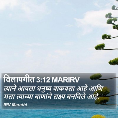 विलापगीत 3:12 MARIRV Bible Verse Image