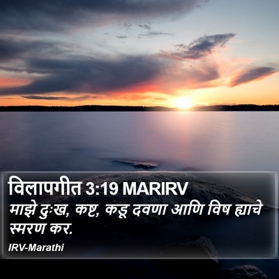 विलापगीत 3:19 MARIRV Bible Verse Image