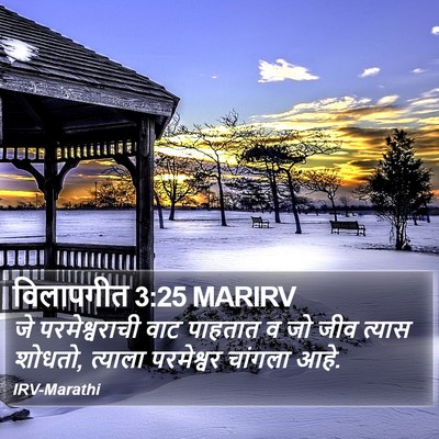विलापगीत 3:25 MARIRV Bible Verse Image