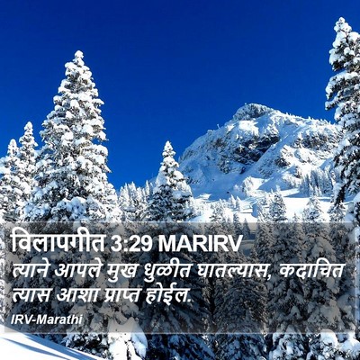 विलापगीत 3:29 MARIRV Bible Verse Image