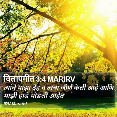 विलापगीत 3:4 MARIRV Bible Verse Image