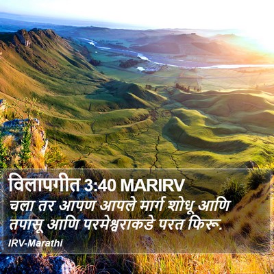 विलापगीत 3:40 MARIRV Bible Verse Image