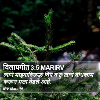 विलापगीत 3:5 MARIRV Bible Verse Image