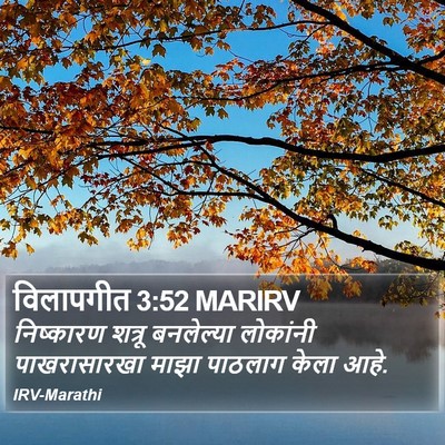 विलापगीत 3:52 MARIRV Bible Verse Image