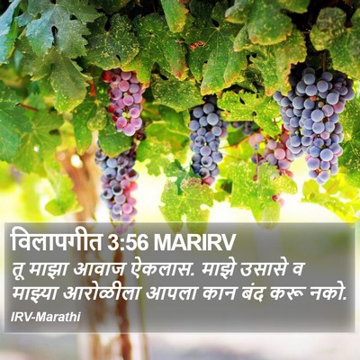 विलापगीत 3:56 MARIRV Bible Verse Image