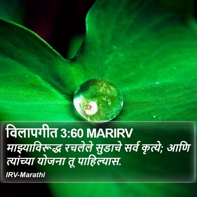 विलापगीत 3:60 MARIRV Bible Verse Image