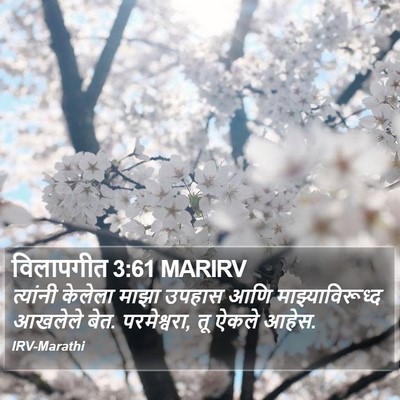 विलापगीत 3:61 MARIRV Bible Verse Image