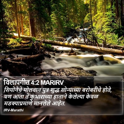 विलापगीत 4:2 MARIRV Bible Verse Image