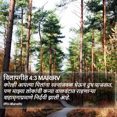 विलापगीत 4:3 MARIRV Bible Verse Image