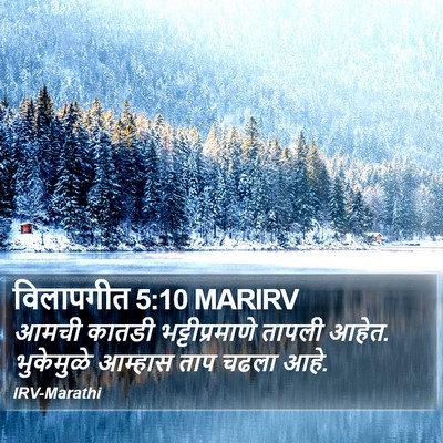 विलापगीत 5:10 MARIRV Bible Verse Image