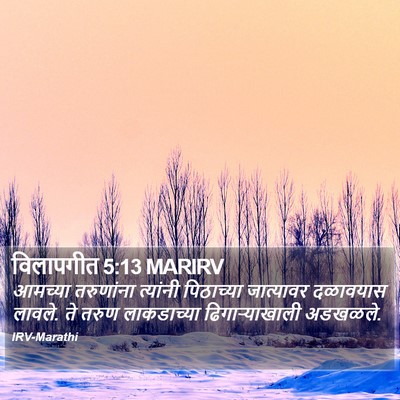 विलापगीत 5:13 MARIRV Bible Verse Image