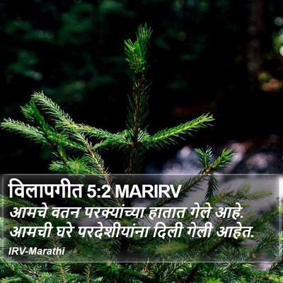 विलापगीत 5:2 MARIRV Bible Verse Image