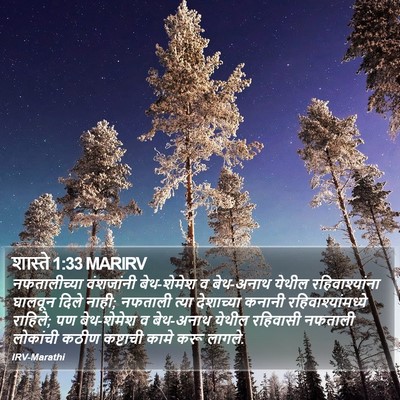 शास्ते 1:33 MARIRV Bible Verse Image