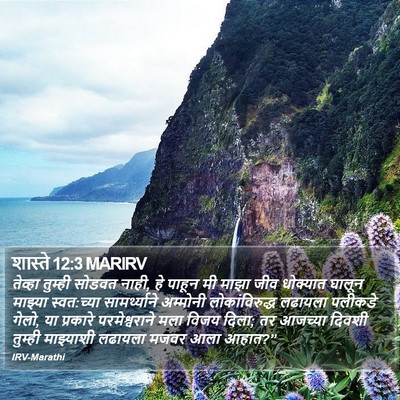 शास्ते 12:3 MARIRV Bible Verse Image