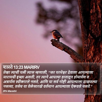 शास्ते 13:23 MARIRV Bible Verse Image