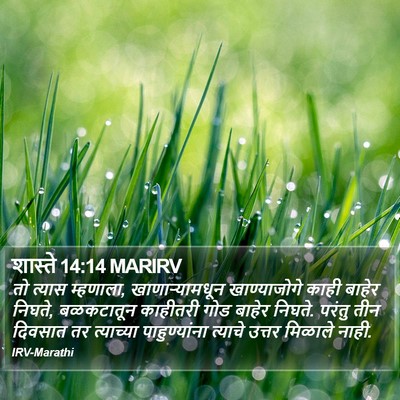 शास्ते 14:14 MARIRV Bible Verse Image
