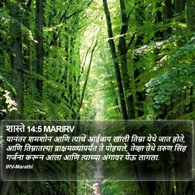 शास्ते 14:5 MARIRV Bible Verse Image